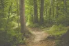 Find What Moves You