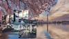 The Best Gyms in Washington DC